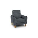 Dylan Armchair in Amigo Coal Fabric