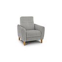 Dylan Armchair in Darwin Silver Fabric