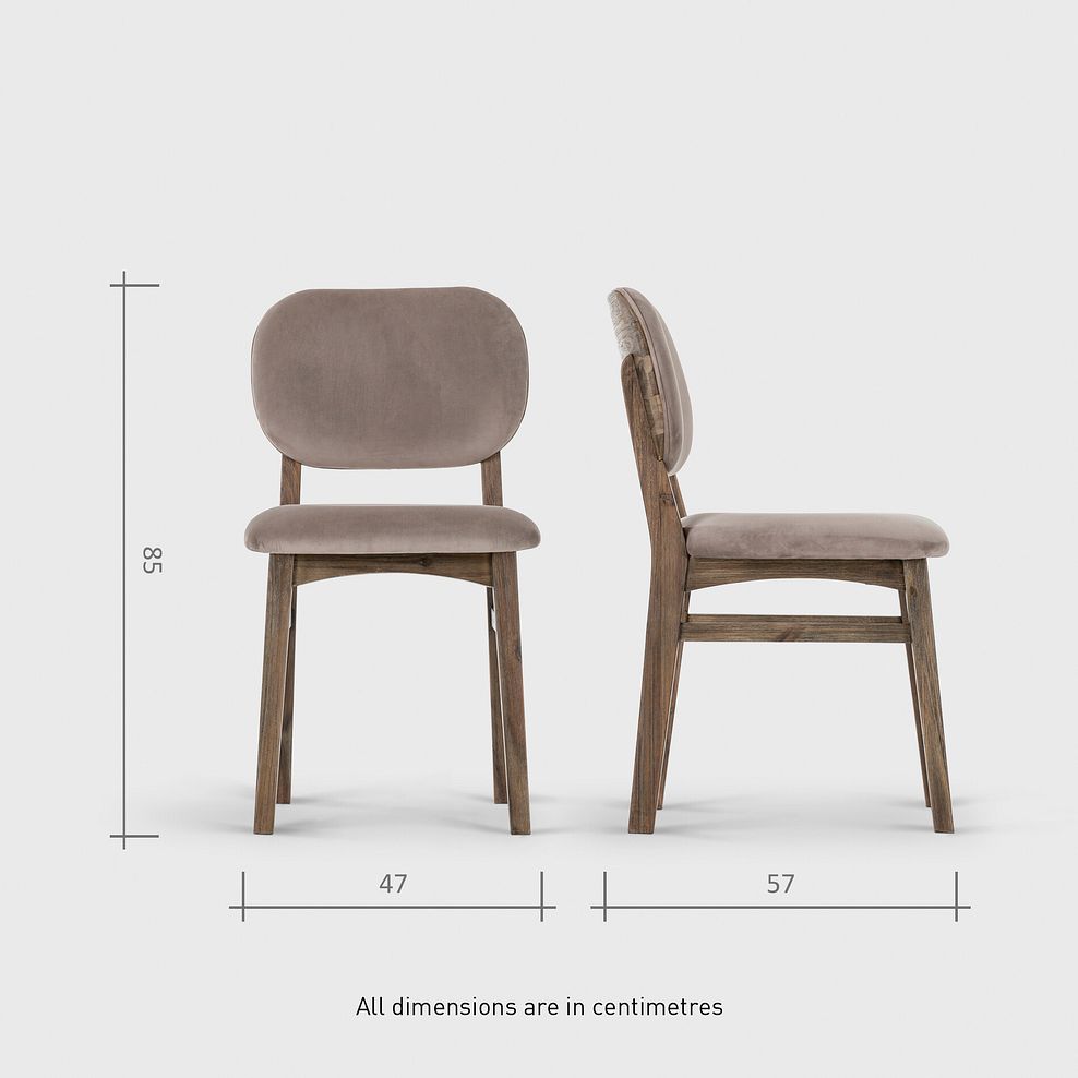 Isla Fossil Velvet Dining Chair 10