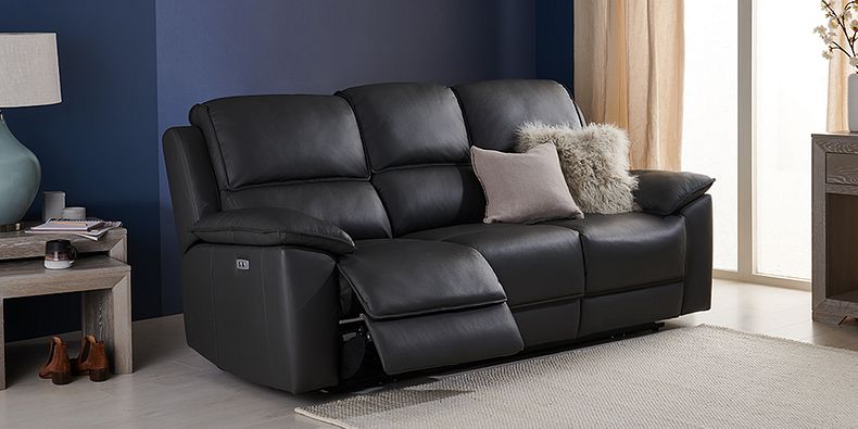 Leather Sofas