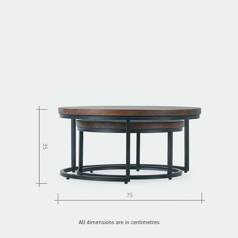 Detroit Solid Hardwood and Metal Nesting Coffee Table 5