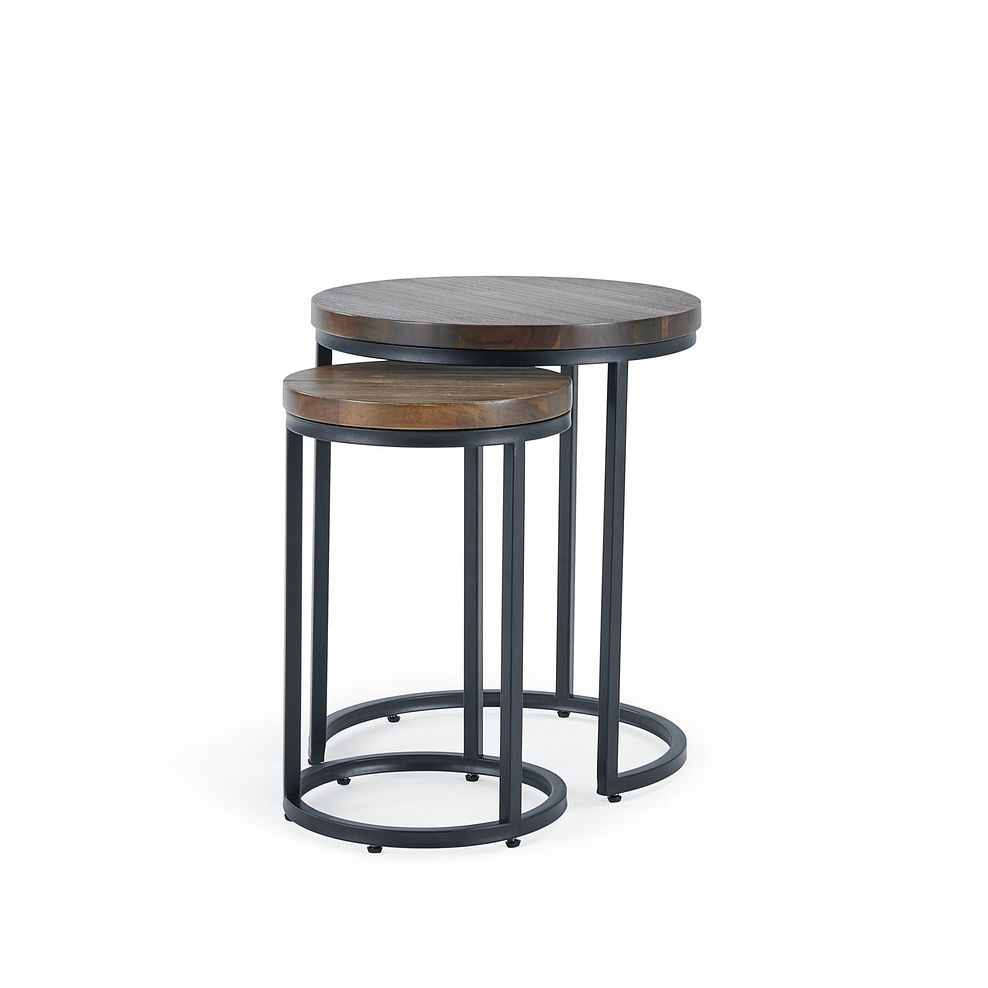 Detroit Solid Hardwood and Metal Nesting Side Tables 2