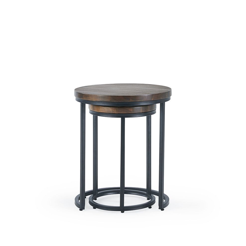 Detroit Solid Hardwood and Metal Nesting Side Tables 3