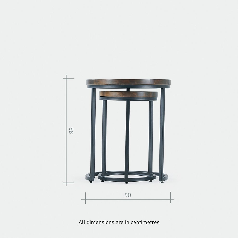 Detroit Solid Hardwood and Metal Nesting Side Tables 6