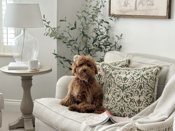 Neutral sofa with a cute brown dog sitting on and the Burleigh pedestal table in the background.