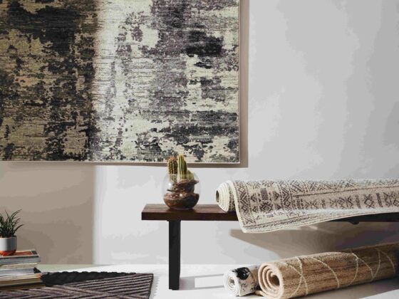 Collection of rug in a room, with one hung on the wall, one on the floor and two rolled up on a bend next to a plant.