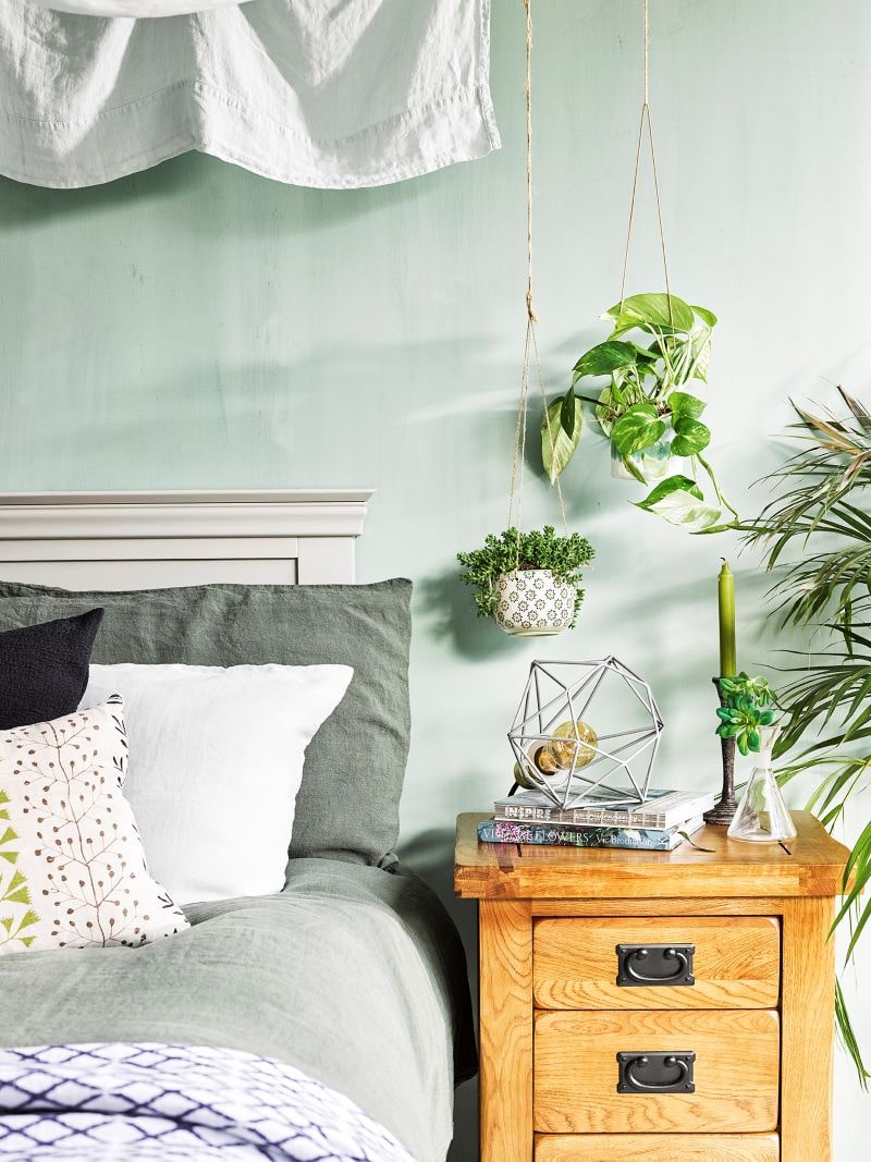 Hanging plants over oak bedside table