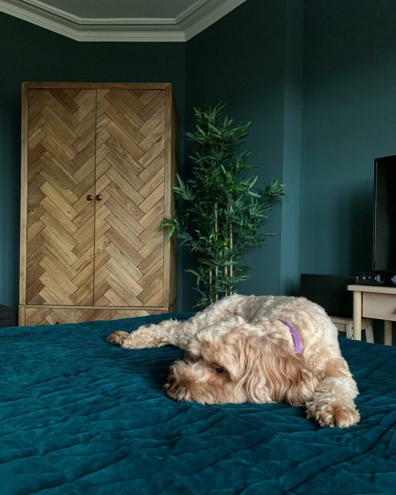 Parquet double wardrobe